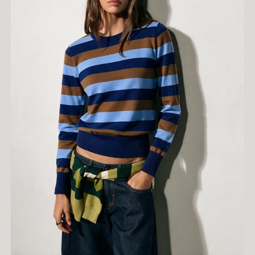Blue Brown Striped Ribbed Knit Crew Neck Cropped Sweater